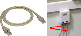 Шнур с вилками RJ45 roz21